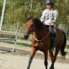 Babie Lato 2016